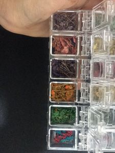 Dry Flowers for nail art By Shills company