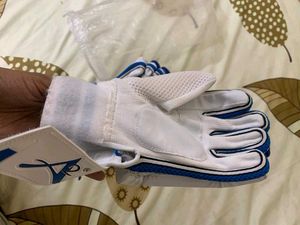 Cricket Gloves