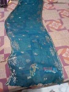 Beautyful Dupatta Sequence Work