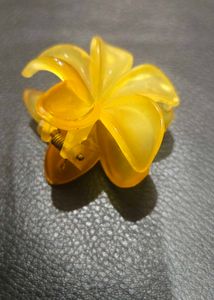 Cute Hair Clip Bundle