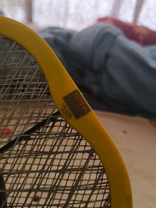 Mosquito Swatter