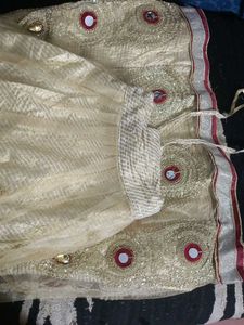 Elegant Embroidered Ethnic Skirt