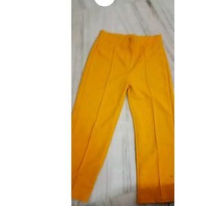 Bell Bottoms  &amp; Palazo With High Waisted
