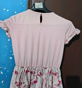 Beautiful Pink Flamingo Princess Frock