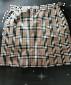 Pleated Skirt