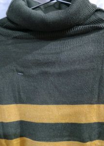 Striped Turtleneck Sweater