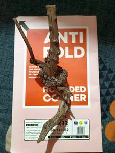 Aquarium Driftwood