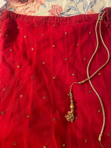 Elegant Lehenga Choli Set