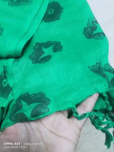 Soft Beautiful Green Long Scarf