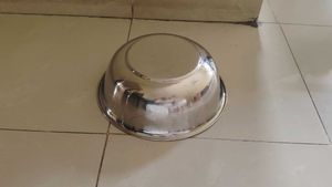 Stainless Steel Mixing Serving Bowl