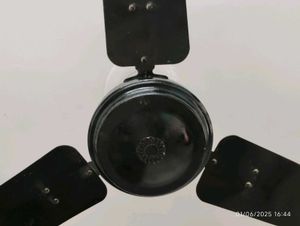 Ceiling Fan