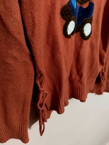 Coral Cozy Teddy Sweatshirt