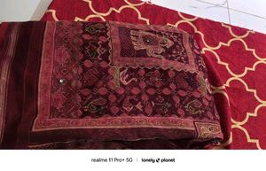 Patola Hand Work Saree