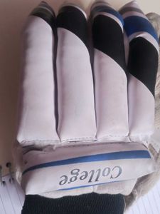 Cricket Batting Gloves At Very Low Cost