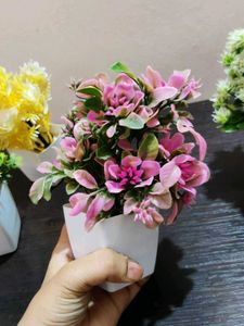 Artificial Plant Decor combo of 5 pots