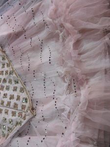 Embroidered Lehenga Choli