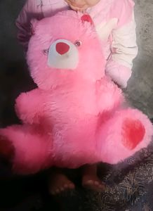 Cute Teddy Bear