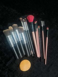 13 Makeup Brushes .