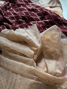 Sequinned kurta with organza plaza and dupatta