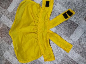 Beautiful Cat 3 Layer Jhalar Dress