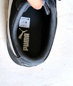 Puma Men Grey Astro Sala Sneaker