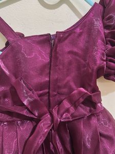 Elegant Plum Party Dress