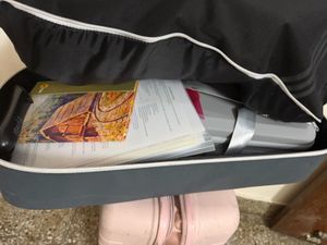 adidas Germany bag with shoes section