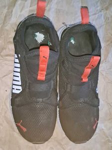 Puma Light Weight Sport Shoes