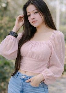 Pink Sheer Sleeve Top