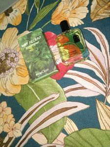 Brit Accent Rainforest 50ml