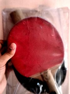 Stag International TT Racquet