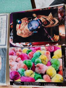 Photo Album And Phot