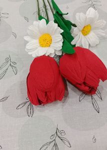 Tulips And Daisy