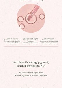 THE PLANT BASE - Time Stop Vitamin Ampoule