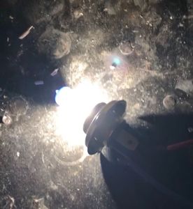 2 Halogin Bulb Only One Filament Burn Second Is Wo