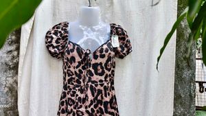 I. Leopard Print Mini Dress