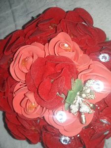 Beautiful Hair Juda Accessori ...lightly Used..