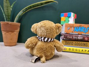 JEJU Mini Teddy Bear