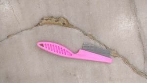 Cat /Dog Accessories