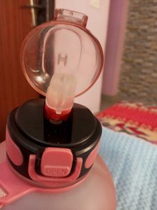 Fancy Big Water Bottle &amp; Sipper