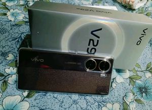 Vivo V29e 5G 8/256 Variant