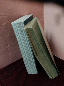 Combo Of Two Math Books For Guide