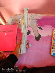 Rainbow Book Class 12th (Bihar Board)