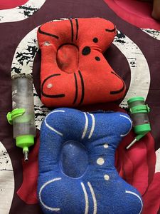 Pet Accessories