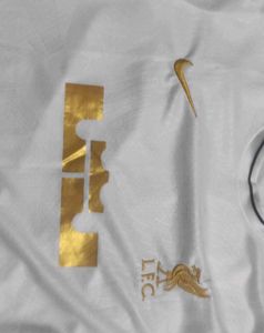 Nike Liverpool X Lebron James Tranning Kit