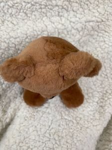 Cute Fluffy Teddy Bear 🧸