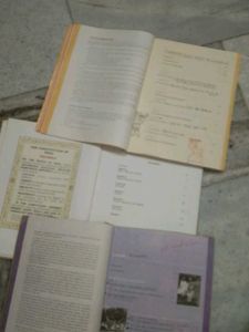 Class 10 History,Geography and Civics books
