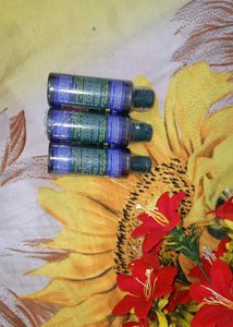 🌿 Adivasi Herbal Hair Oil – Vishvambhari🌿