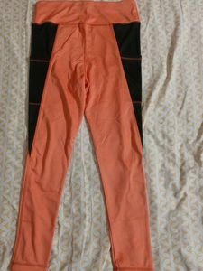 Dark Green And Orange Color Active Wear