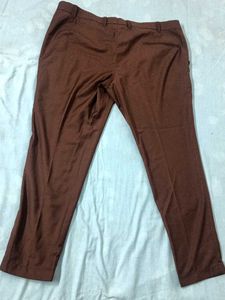 Brown Casual Pants